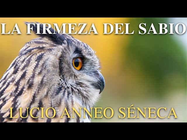 Vídeo relacionado con Sobre la firmeza del sabio / Sobre el ocio / Sobre la tranquilidad del alma / Sobre la brevedad de la vida (13/20)