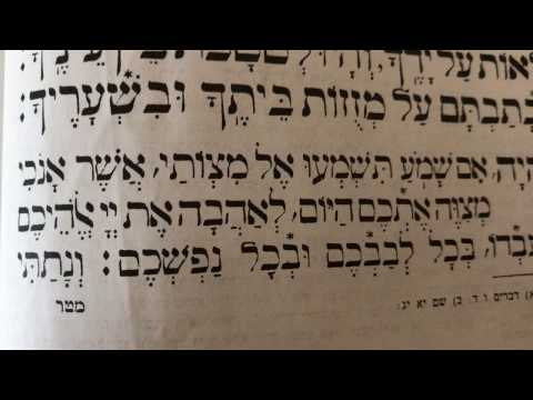 Tefilah 26 Vehaya Im Shamo'a - Prayer - Sharchris - תפילה 26 ק׳׳ש והיה אם שמוע – שחרית