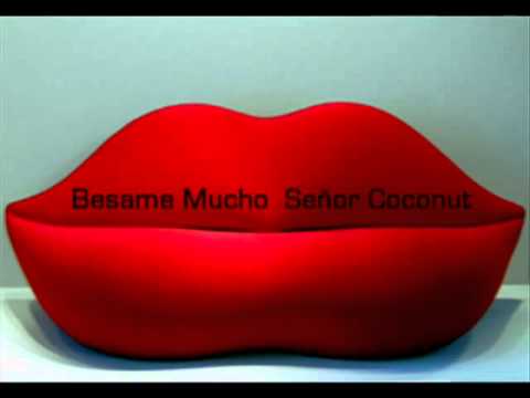 BESAME MUCHO ~ Señor Coconut Latin Lounge]  YouTube