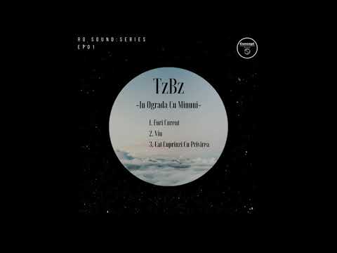 TzBz - Furi Curent