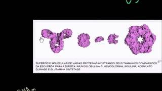 Biologia - DNA (Khan Academy)