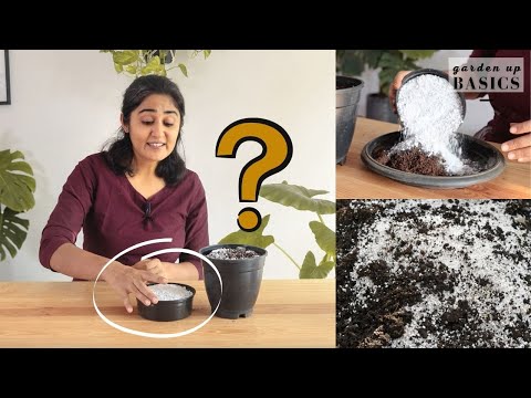 , title : 'Why and how to use Perlite in soil mix | Ep. 10| Garden Up Basics'