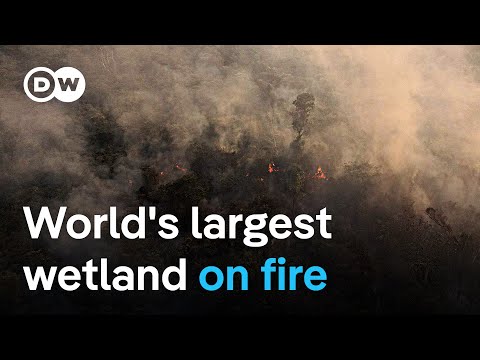 DW News report on Pantanal wildfires — video thumbnail