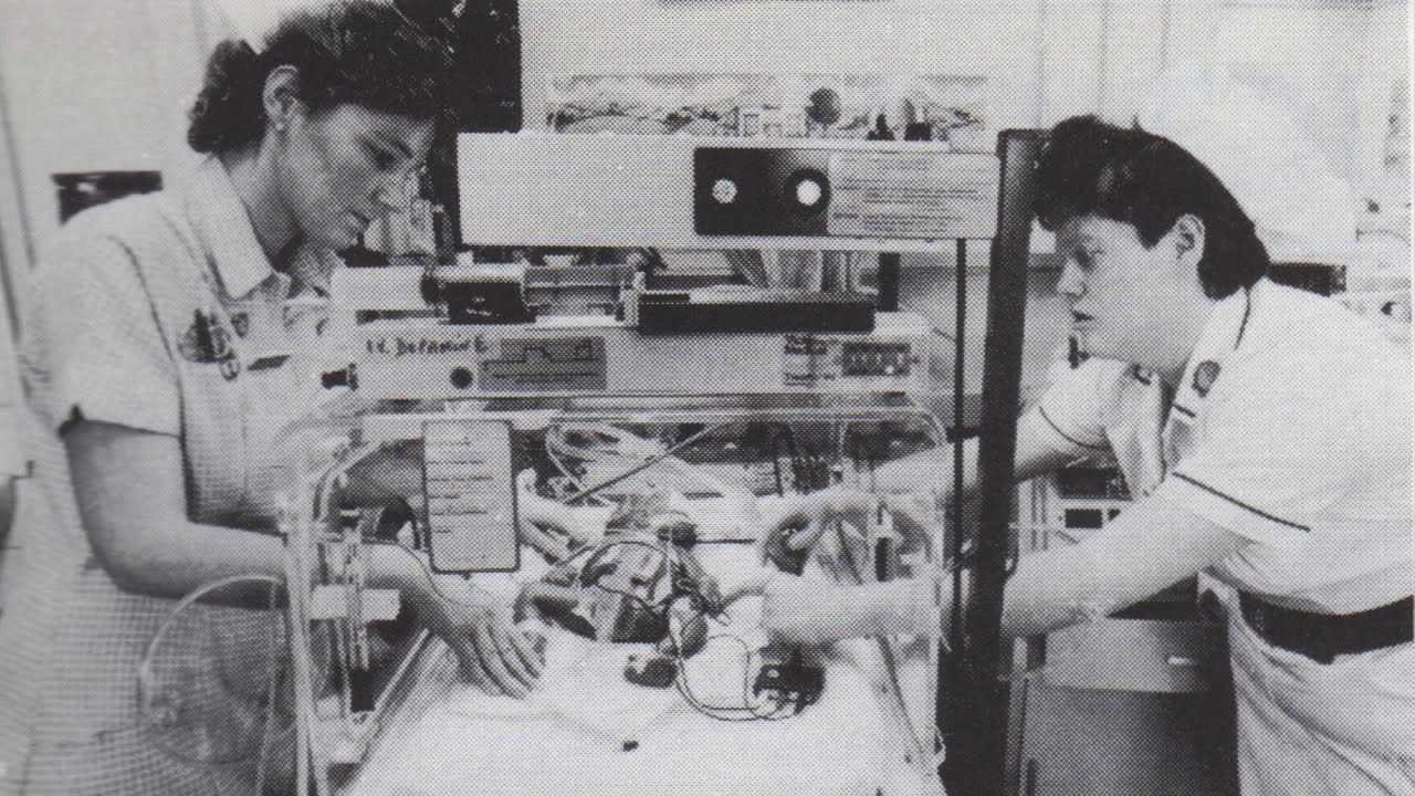 'Yellowstone' - Preview Clip