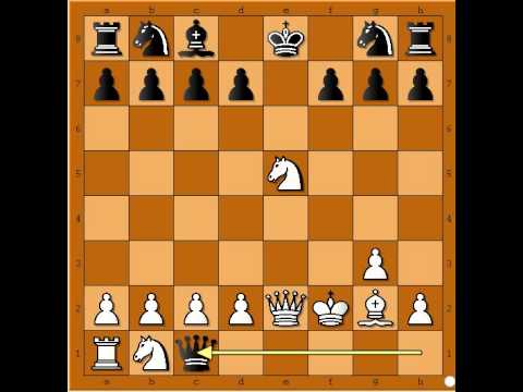 Najlepsi trikovi i zamke za Damu - KREJCIK vs BAUMGARTNER # 627