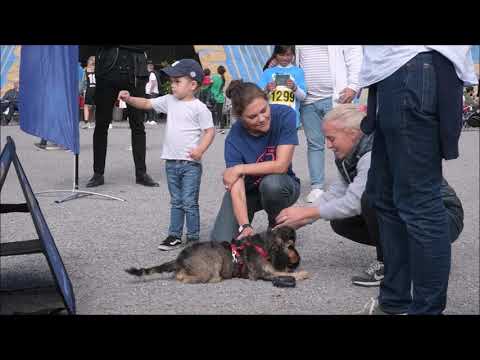 Prince Oscar playing in Haga Park