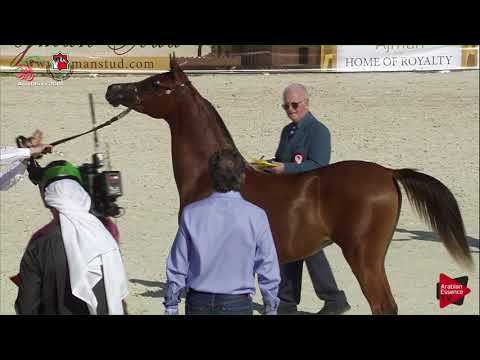 N 21 DAREEN AL HAWAJER   UAE Nationals 2019