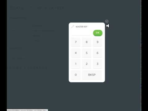 Видео#4 Ввод денег в систему Webtransfer