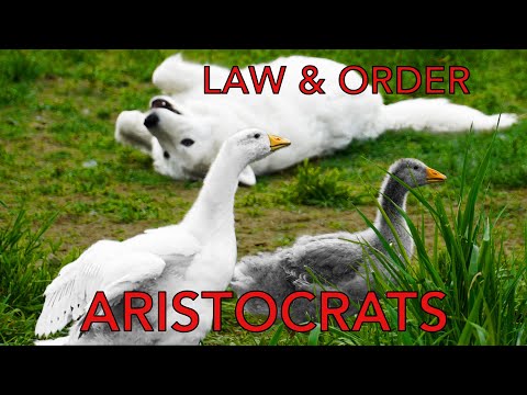 The Animal Politics of Our Farm