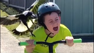 Psycho Bird Attacks Boy On Scooter