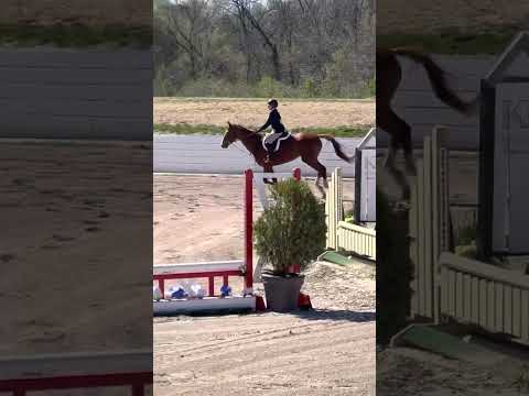 Odelia and rosemary in the pre-children’s April 2023