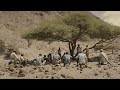 La Femme Du Fossoyeur Extrait 3