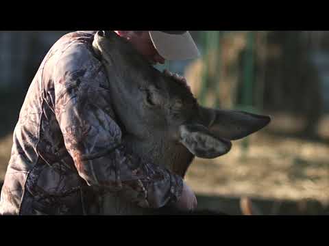 Tatarska Zagroda- Agroturystyka Dolina Baryczy Noclegi