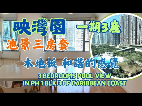 Caribbean Coast Youtube Video