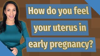 How do you feel your uterus in early pregnancy?