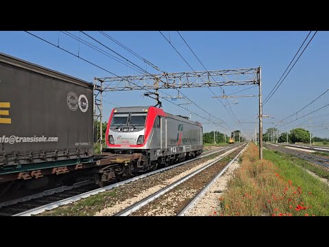 TC 69842 Maddaloni Marcianise - Torino Orbassano FC