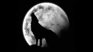 Eels Lone Wolf [Spanish subtitles]