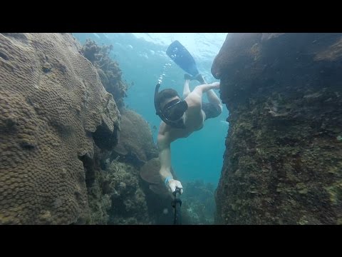 Kayaking + Snorkeling | Koh Tao, Thailand
