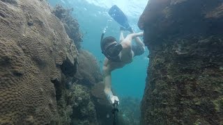 Kayaking + Snorkeling | Koh Tao, Thailand - YouTube