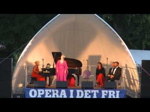 Summertime af Inger Dam-Jensen