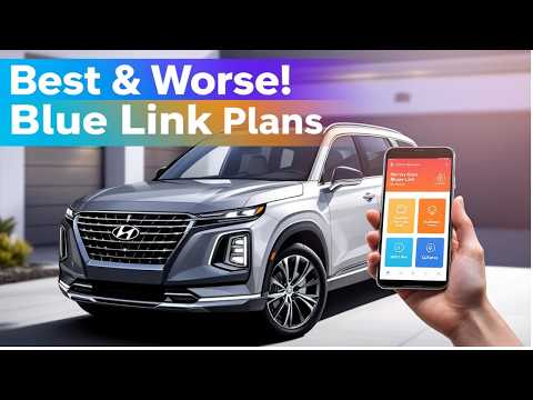 Blue Link Subscription Promo Code