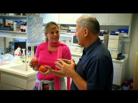 Gasztroangyal 1. rész - Az igazi hazai paradicsom (2011)