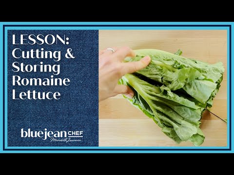 Lesson: Cutting and Storing Romaine | Blue Jean Chef