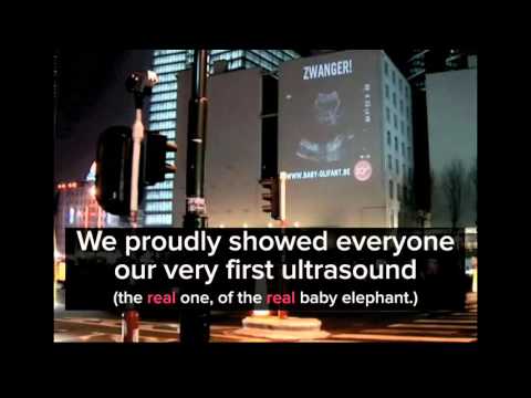 CB Awards 2009 - Zoo Antwerpen - Baby Elephant