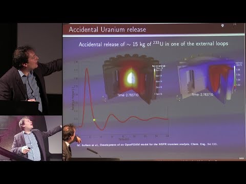 Multiphysics Modeling Tools for MSR - Manuele Aufiero @ ThEC2018