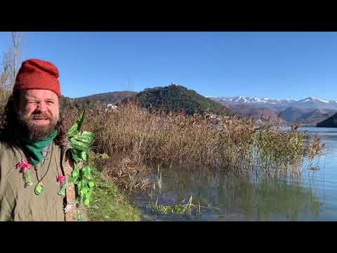 Faros e il Castello Volante prima parte