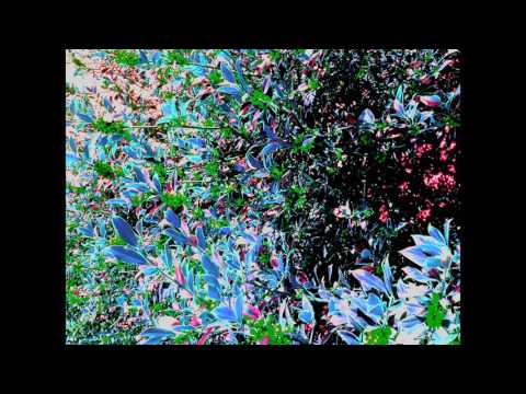 Ульмо Три - Мегасвіт