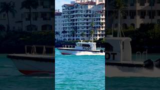 Pilot 🛟 #like #share #subscribe #comment #shortsvideo #youtubeshorts #cruise #vacation #shorts #fun