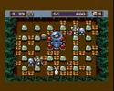 mega bomberman codes megadrive