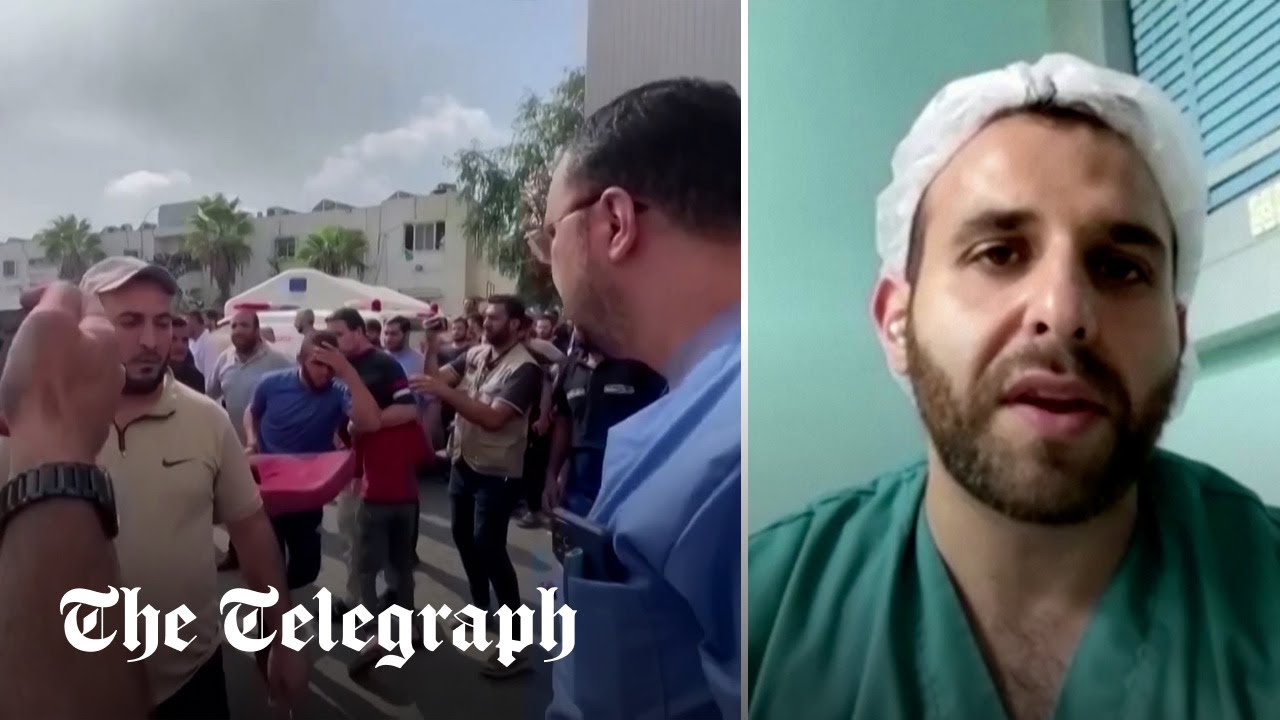 Wild dogs ‘eating bodies’ of dead at Gaza hospital