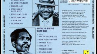 Big Walter Horton Blues Band - Trouble In Mind