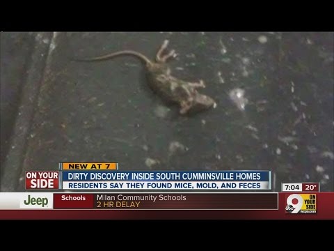 Garfield Commons tenants: Landlord won't fix unsafe, dirty conditions