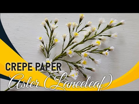 How To Make Paper Aster (Lanceleaf) | Crepe Paper Flower #diy #tutorial #how