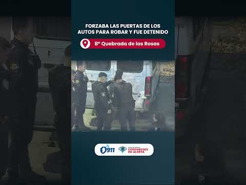 B° Quebrada de las Rosas 🚨 Forzaba las puertas de los autos para robar y fue detenido