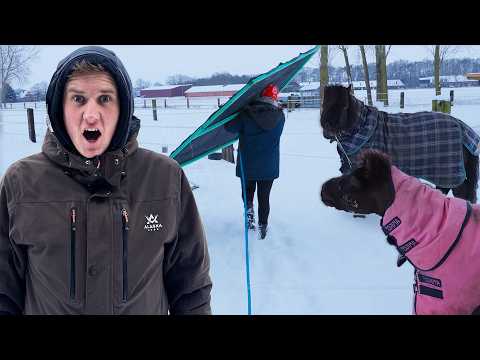 Wir RETTEN die SHETTYS vor dem SCHNEESTURM