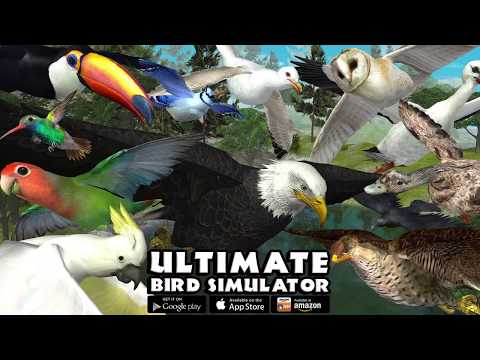 Ultimate Bird Simulator Video