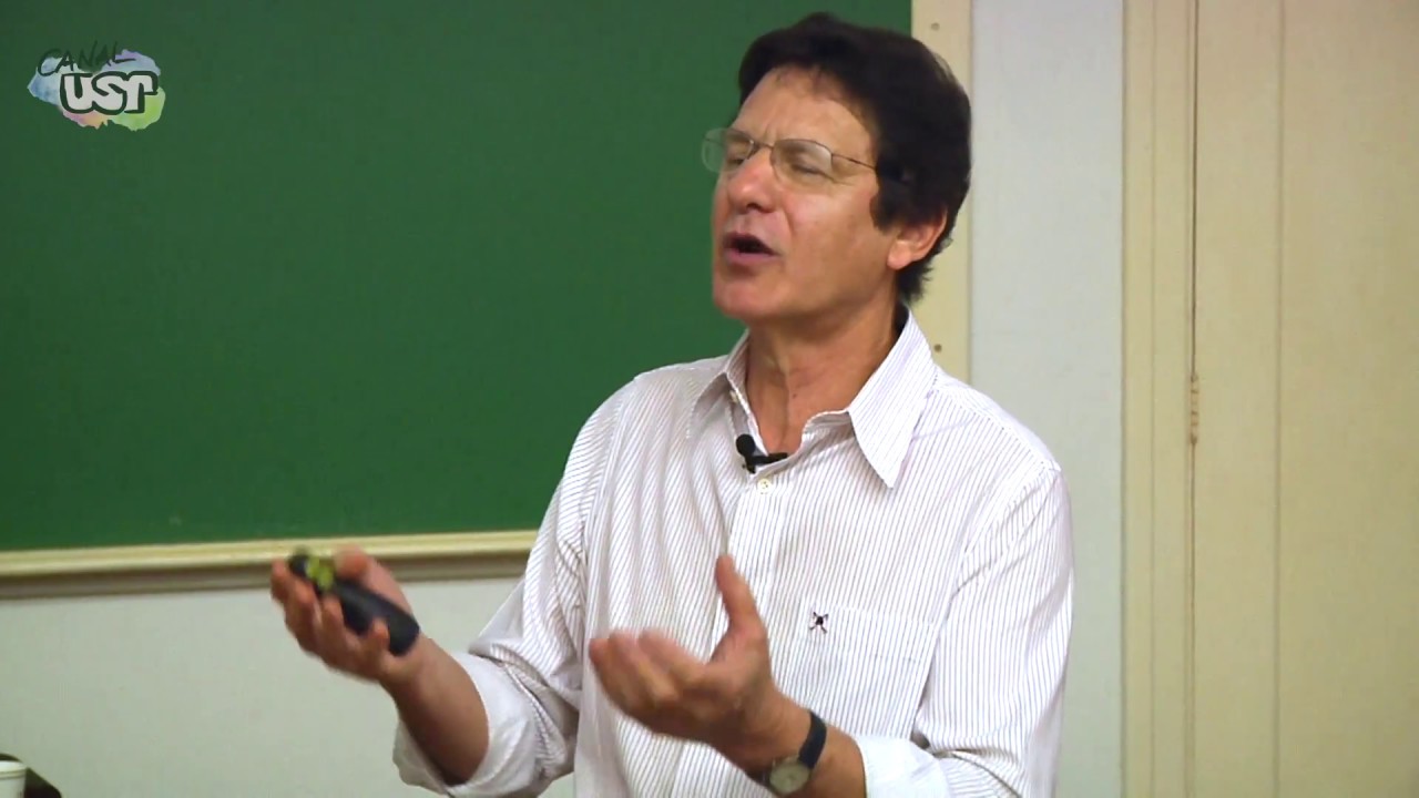 Aula 6 Controle de doenças de plantas (2/3)