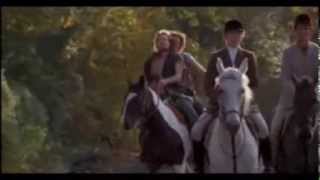 Hair &quot;Sodomy&quot;