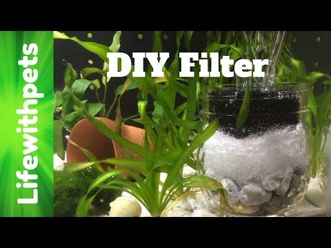 How To Make a DIY Sponge Filter for a Betta Fish Tank.