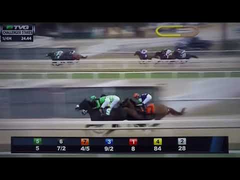 CHALLENGER (G STAKES) 3/10/18 - WAR STORY !!