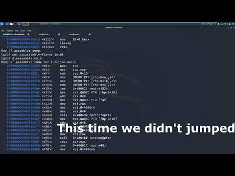 Introduction to Reverse Engineering using Assembler | cracking a simple program | 0x01