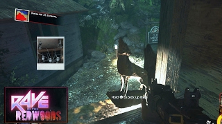 All Statue Locations - Rave In The Redwoods Infinite Warfare