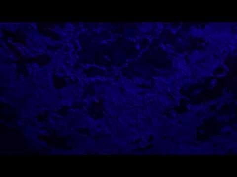 Sin Órbita - Torrente (Video Oficial)