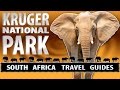 Kruger National Park Africa S Big 5 Animals Lion Buffalo And More Wildlife At Kruger National Park