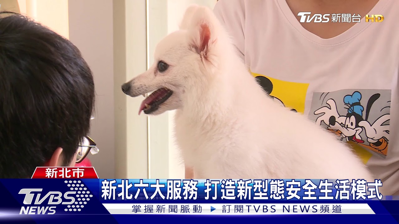寵物健康生活站 消毒機保護毛小孩健康