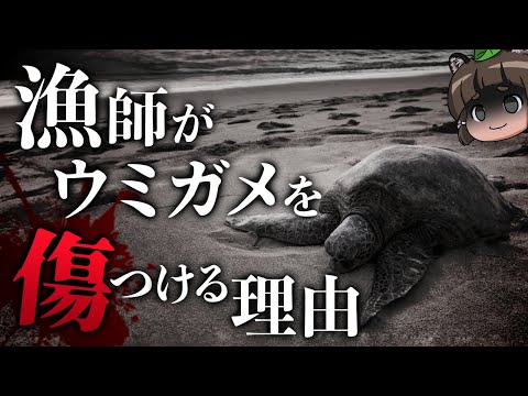 絶滅危惧種の爬虫類 - 原因と保存 - 樹上性ワニトカゲ (Abronia aurita)